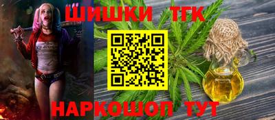винт Партизанск