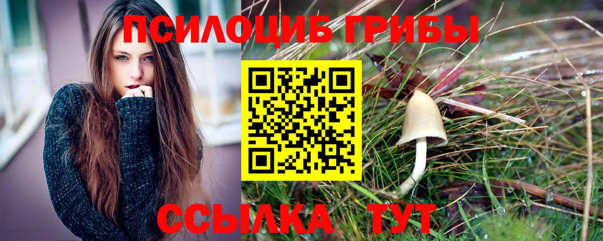 Галлюциногенные грибы Cubensis  Вход с VPN  Саров  Псилоцибиновые грибы мицелий 
